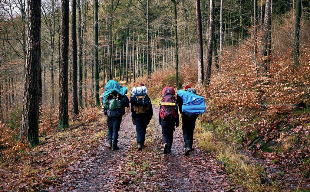 Hikers in the woods